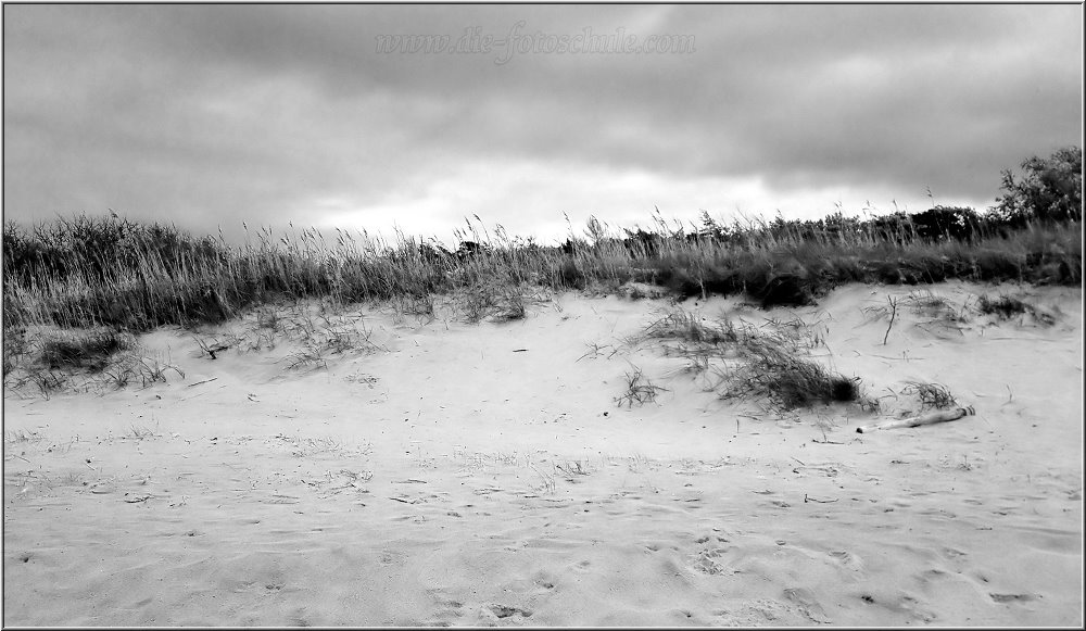 Weststrand_2014_001_sw.jpg - Die Dünen auch, aber