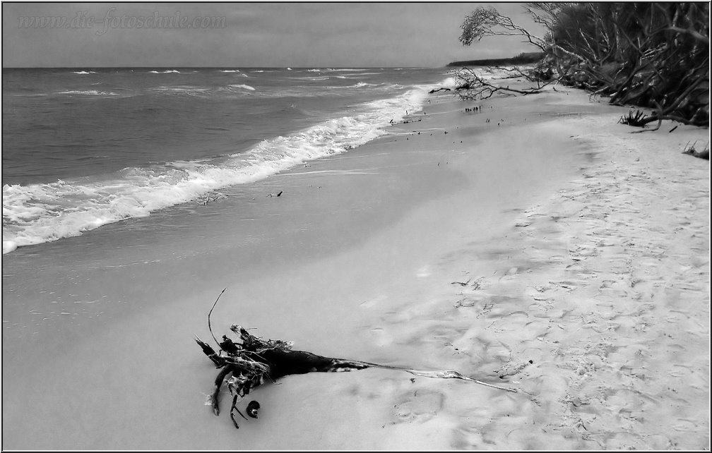 Weststrand_2014_002_sw.jpg - die Bäume noch mehr.