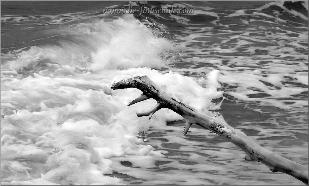 Weststrand_2014_009sw.jpg - Weststrand und nein, keine DSLR. "Nur" die schlanke Kleine mit 350mm und offener Blende. Hier schleppe ich lieber was zu trinken, als Telezooms nebst Body.