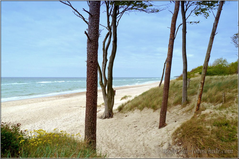 Weststrand_2014_013.jpg - Hier kann ich Stunden bleiben