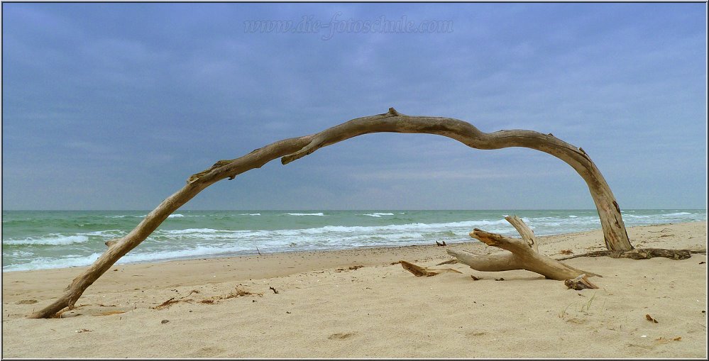 Weststrand_2014_014.jpg - und die Natur genießen.