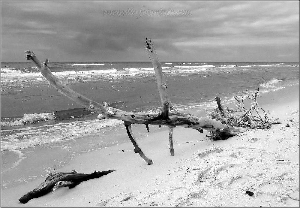 Weststrand_2014_015sw.jpg - Impressionen in Schwarzweiß vom Weststrand