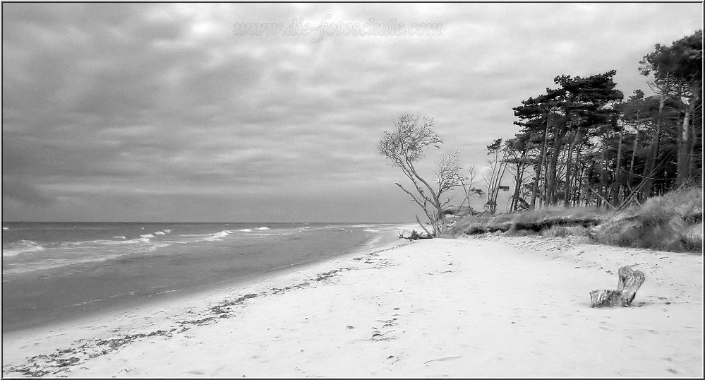 Weststrand_2014_016sw.jpg - Impressionen in Schwarzweiß vom Weststrand