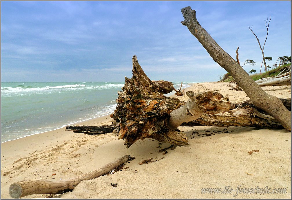 Weststrand_2014_017.jpg - Fotomotive liegen quasi vor den Füßen rum