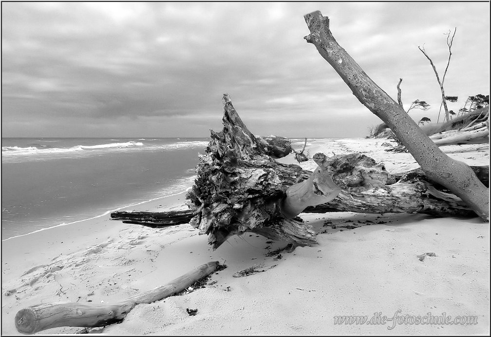 Weststrand_2014_017sw.jpg - Impressionen in Schwarzweiß vom Weststrand