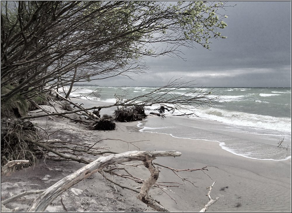 Weststrand_2014_024se.jpg - An manchen Tagen zieht es unverhofft zu, das ist am Weststrand leider doof.  Da kannst Du dann Stunden latschen, bis Du wieder "in der Zivilisation" bist.