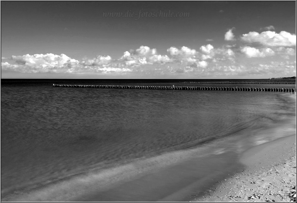 Zingst_2013_H003_sw.jpg - Zwischen Prerow und Zingst, fotografiert mit dem Smartphone