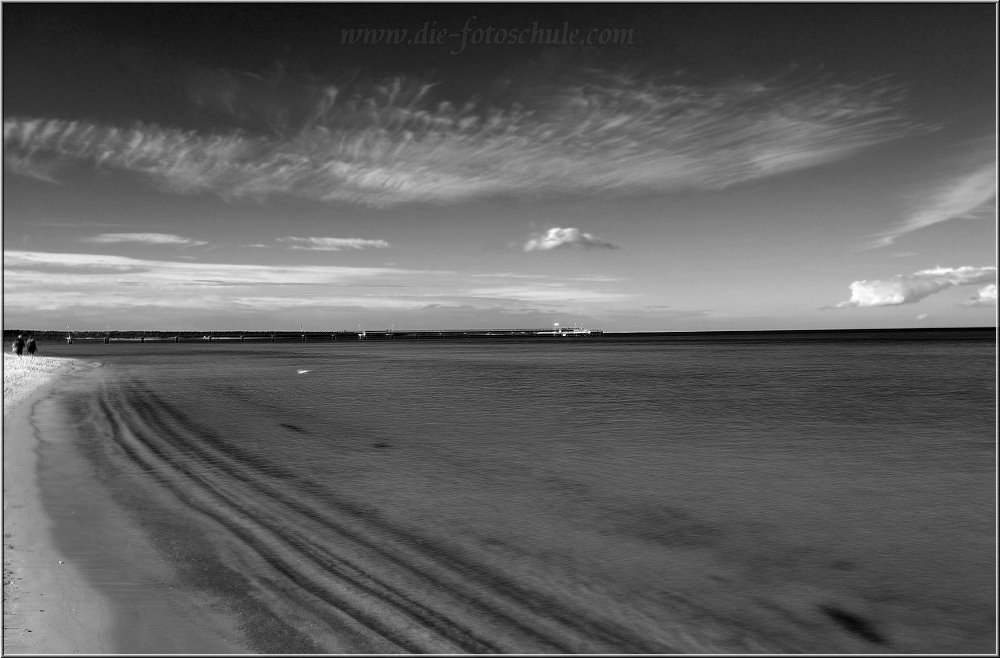 Zingst_2013_H005sw.jpg - Im Hintergrund ist die Seebrücke von Prerow