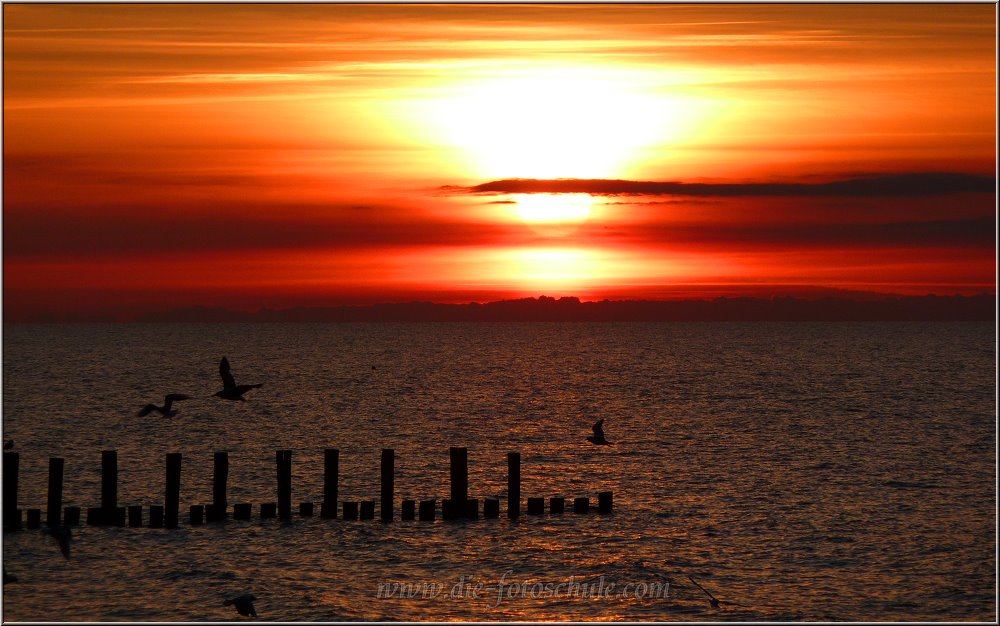 Zingst_Strand_2014_024.jpg - Auch die Möwen haben ihren Spaß.