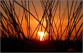 Sonnenuntergang_Seebruecke_Zingst_2