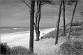 Weststrand_2014_013sw