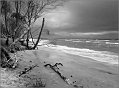 Weststrand_2014_025sw