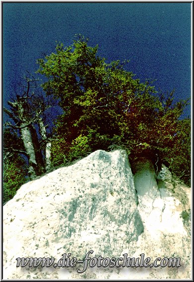 Ruegen_Die_Fotoschule_010.jpg - An den Kreidefelsen bei Sassnitz