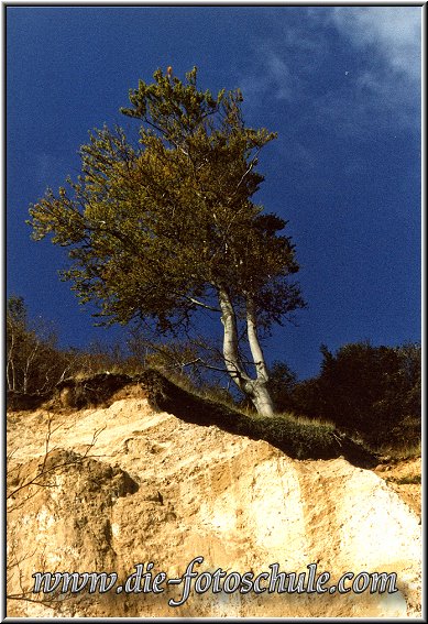 Ruegen_Die_Fotoschule_06.jpg - An den Kreidefelsen bei Sassnitz