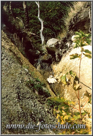 Ruegen_Die_Fotoschule_08.jpg - Einer der Steilhänge, hier fliesst Wasser vom Wald herunter