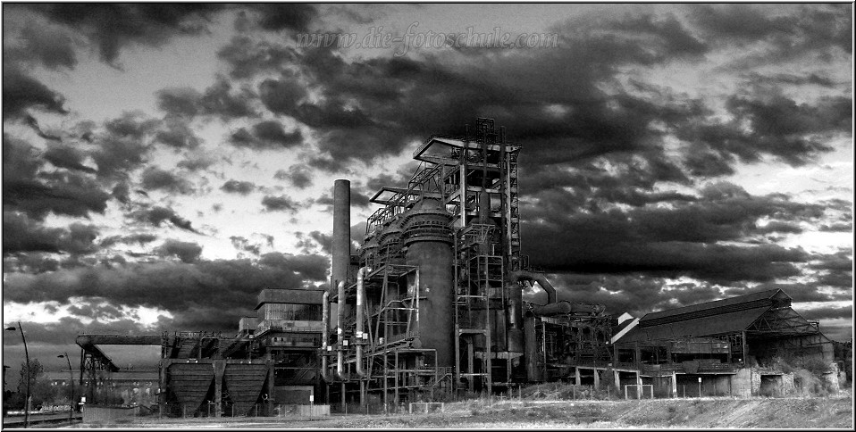 Phoenix_011