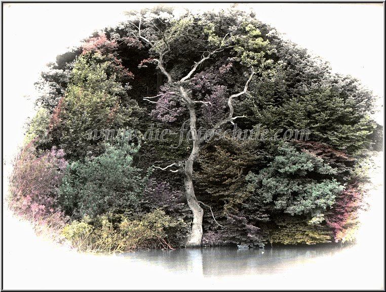 Schwerte_Ausstellung_Colorationen_009
