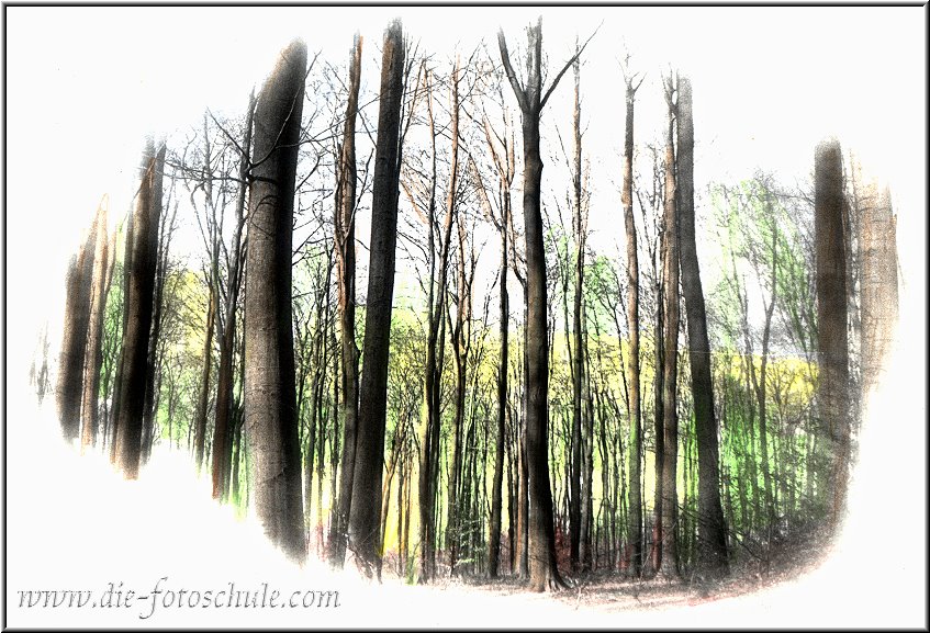 Schwerte_Ausstellung_Colorationen_010