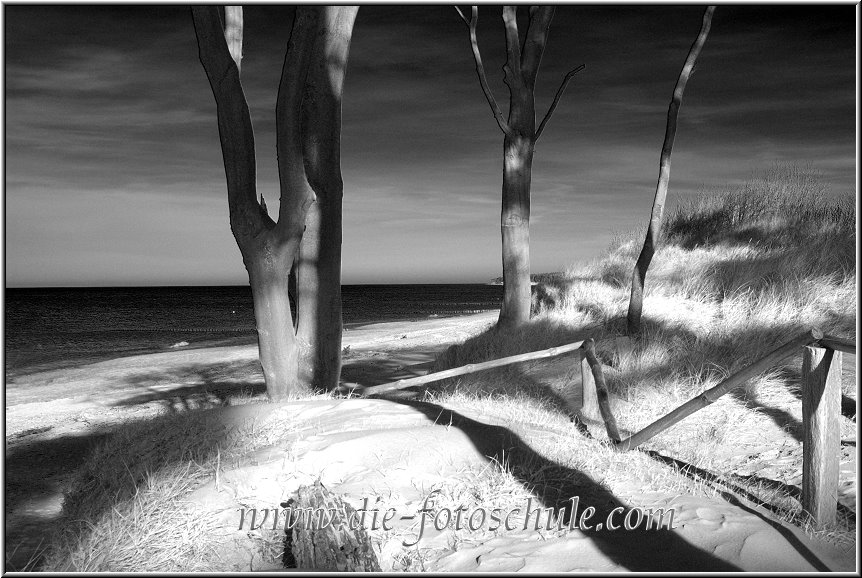 Darss_Weststrand_Ostsee18sw_Die_Fotoschule.jpg - Der wunderschöne Weststrand am Darss auf Fischland-Darss-Zingst in MVP, westlich von Rügen.