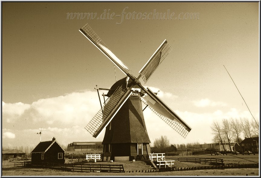 Egmond_fotoschule_34.jpg - Bei Egmond aan Zee auf dem Weg nach Alkmaar