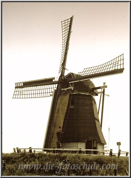 Egmond_fotoschule_39.jpg - Eine alte Windmühle bei Alkmaar in den Niederlanden