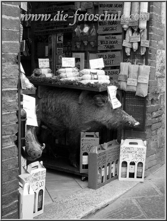 Fotoschule_Gimignano_028.jpg - Fleischerei mit Wildsau in San Gimignano Italien Toskana