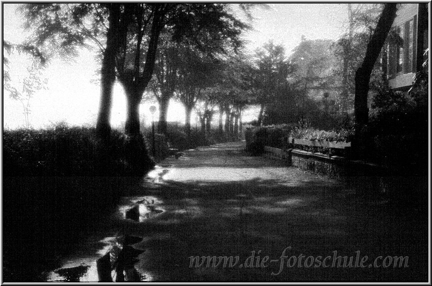 Timmendorferstrand_Promenade_sw.jpg - An der Strandpromenade südlich vom Timmendorfer Strand, frühmorgens kurz nach einem Regenschauer