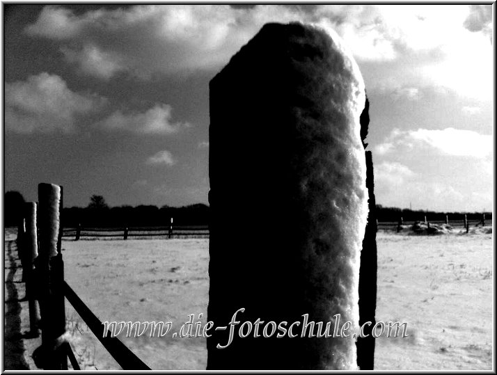 ZaunWendehammerimSchneeschwarzweiss.jpg - Ganz in der Nähe des Dortmunder Flughafens an einem eiskalten Wintermorgen. Noch mehr Wintermotive gibts in der Rubrik Winterimpressionen