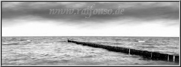 Zingst001_ralfonso_de_kl.jpg - In Prerow auf Fischland-Darss in MV