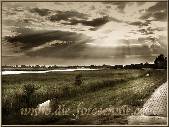 Zingst044_ralfonso_de.jpg - Am Bodden in Zingst