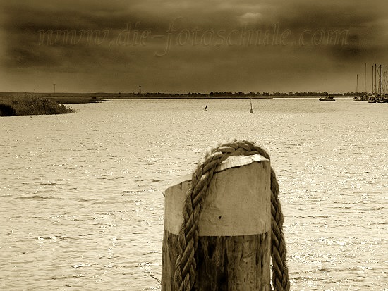 Zingst074_ralfonso_de.jpg - Am Bodden in Zingst