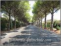 Cecina_Hauptstrasse_kl