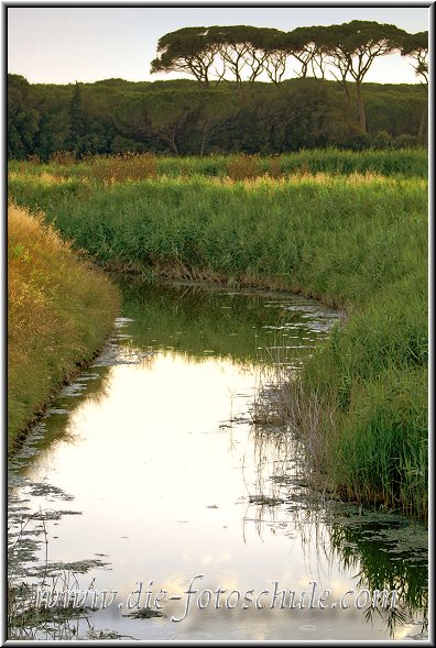 Cecina_Naturschutzgebiet