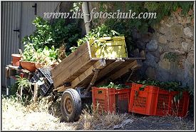 Fotoschule_Bolgheri_013_mittel