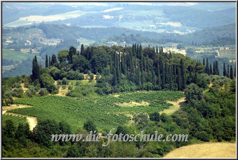 Fotoschule_Gimignano_044