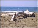 Fotoschule_Strand_Cecina_1_kl