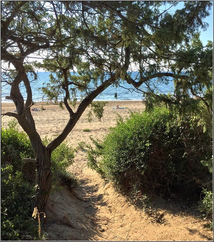 Toscana, spiaggia e mare/San_Vincenzo_030