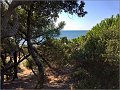 San_Vincenzo_028