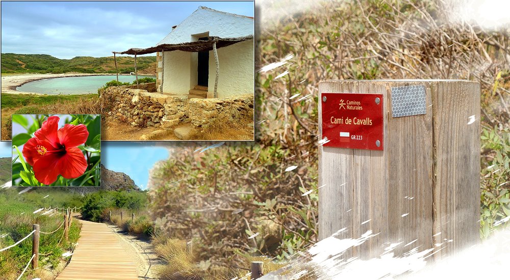 tramuntana_collage1 tramuntana_collage1