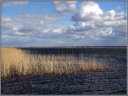 Am Hafen von Born