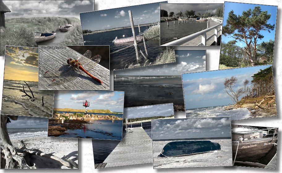 Darss2009_Reisebericht_Collage1 Darss2009_Reisebericht_Collage1
