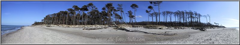 Panorama vom Weststrand