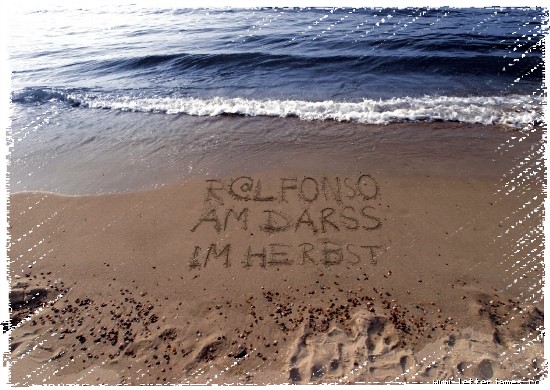 Ralfonso_am_Darss Ralfonso_am_Darss