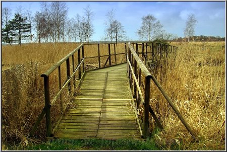 Am Wiecker Hafen