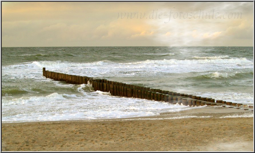 Ahrenshoop_Ostsee08_Die_Fotoschule.jpg - Anfang Weststrand nahe Ahrenshoop