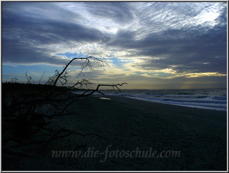 Darss_Weststrand_Ostsee05_Die_Fotoschule.jpg