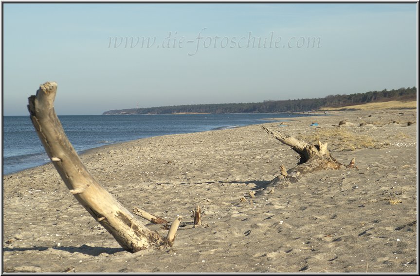 Darss_Weststrand_Ostsee09_Die_Fotoschule.jpg