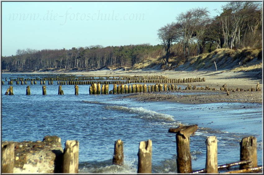 Darss_Weststrand_Ostsee13_Die_Fotoschule.jpg - Ach ja, ich liebe Poller....