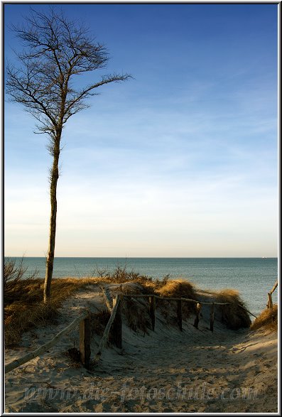 Darss_Weststrand_Ostsee16_Die_Fotoschule.jpg