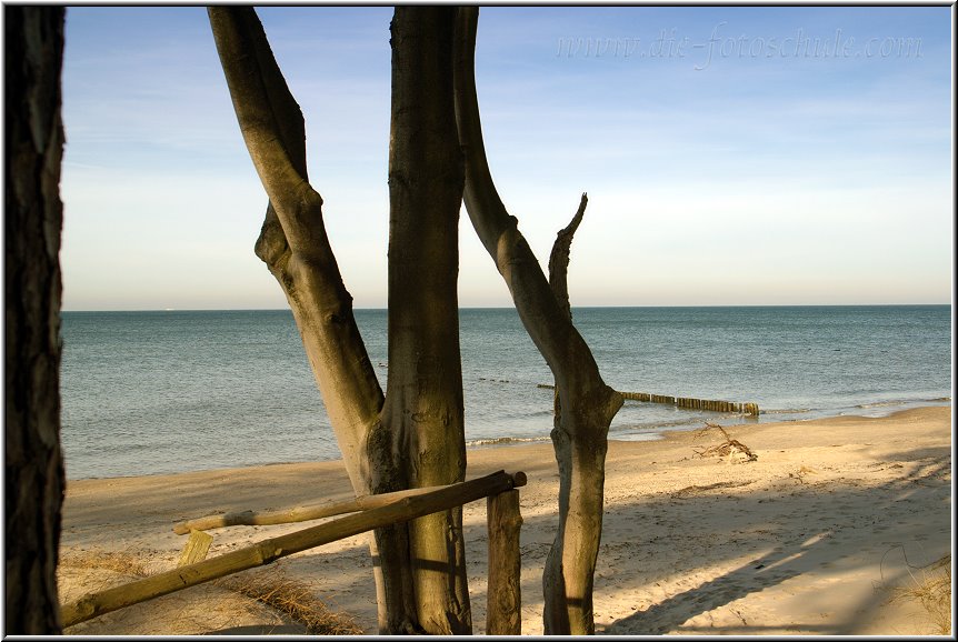 Darss_Weststrand_Ostsee23_Die_Fotoschule.jpg